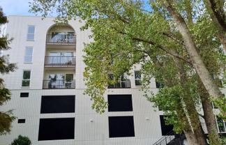 308/1817A Great North Road, Avondale
