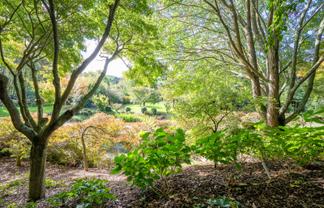 2306 Buckland Road, Karapiro