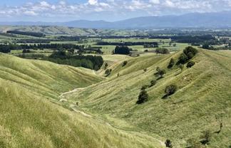  Millars Road, Carterton