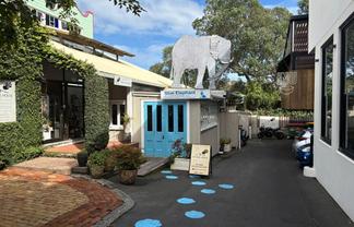 Hospitality‑Ready Retail Tenancy, Parnell