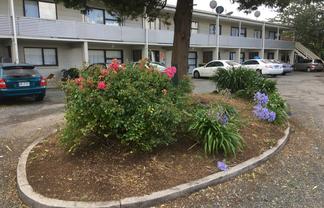 10/9 Trent Place , Fenton Park