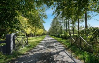 1015 Wolffs Road, West Eyreton