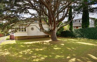 54 Lloyd Avenue, Mount Albert