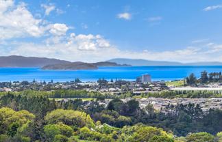 202 Kahikatea Flat Road, Dairy Flat