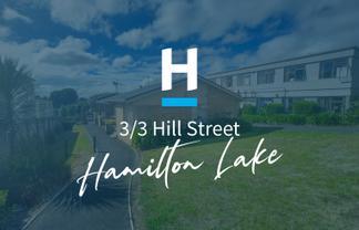 3/3 Hill Street, Hamilton Lake