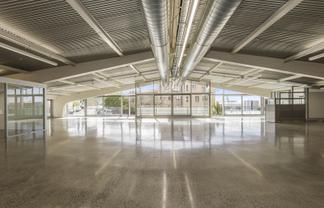 An Exceptional Parnell Workspace