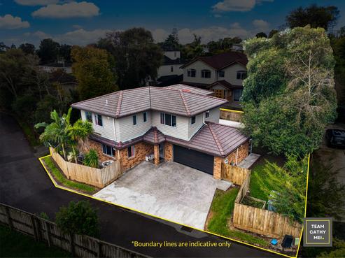 55A Sheridan Drive, New Lynn