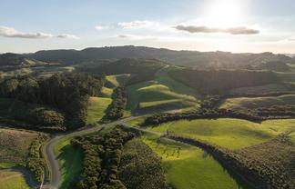 Palliser Downs Drive, Wainui