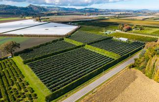 590 Matawai Road, Waerengaahika