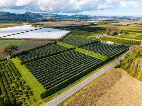 590 Matawai Road, Hexton