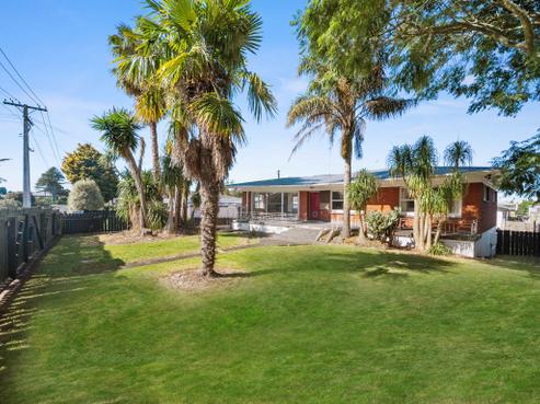 3 Halberg Street, Papakura