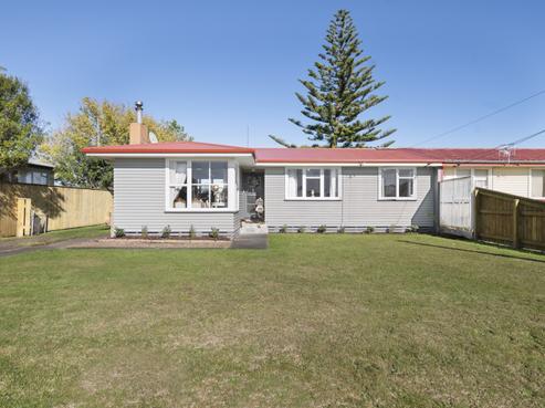 47 Taumaihi Street, Bulls