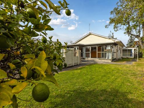 17 Nosworthy Street, Blenheim Central