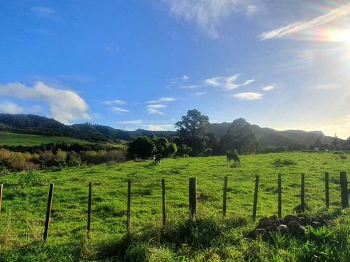 288 North Manakau Road, Manakau