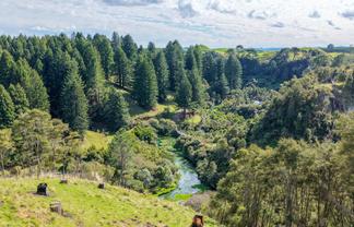  Leslie Road, Putaruru