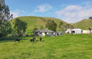 618 Te Weta Road, Waikite Valley