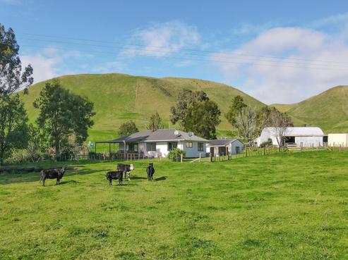 618 Te Weta Road, Waikite Valley