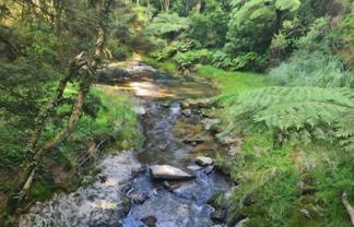 Lot 1, 675 Gorge Road, Maungaturoto