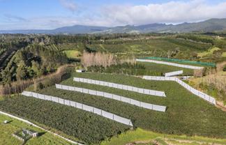 175 Busby Road, Katikati