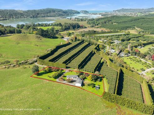 24 Julian Road, Onemana