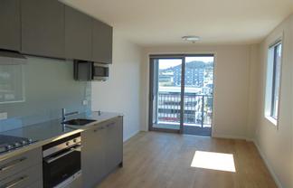 303/8 Wigan Street, Wellington Central