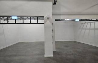 Orakei Showroom Opportunity