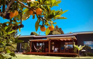 43 Darwin Road, Kerikeri