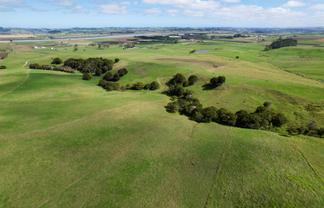 6320 State Highway 12, Dargaville