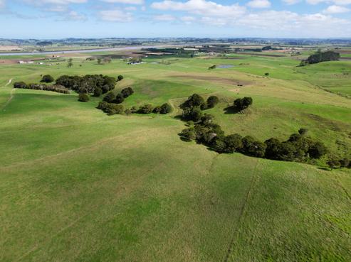 6320 State Highway 12, Dargaville