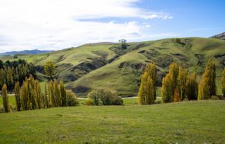 81 MacKenzie Road, Kahuranaki