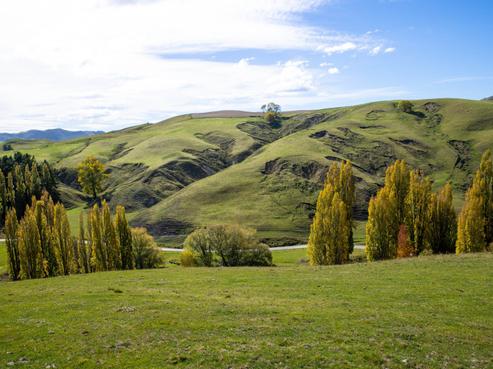81 Mackenzie Road, Havelock North