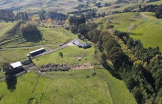 196 Ngapaeruru Rd, Dannevirke