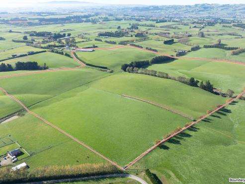 305C Waimumu Road, Gore Surrounds