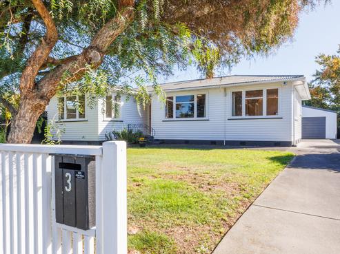 3 Ilford Place, Awapuni
