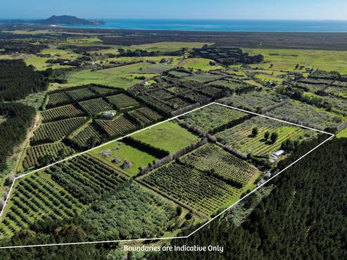 101 Turk Valley Road, Awanui