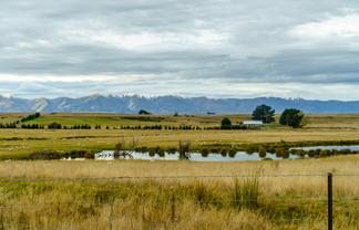 305 Bypass Road, Ranfurly