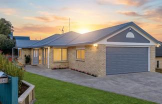 24 Hollinger Place, Nawton