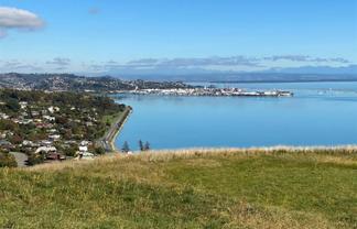 113 Bay View Road, Atawhai
