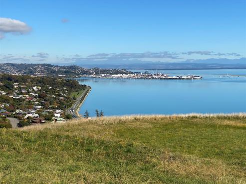 113 Bay View Road, Atawhai