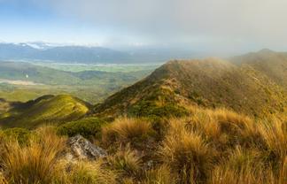  Happy Valley, Ross