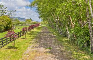 372 Tararua Road, Levin