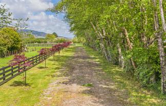 372 Tararua Road, Levin