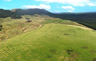  Perkins Forest, Mataura