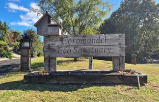 395B Driving Creek Road, Coromandel