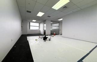 Light Filled Mount Wellington Office | 96 m2