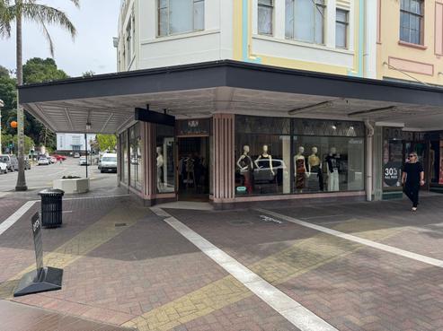 172 Emerson Street, Napier South