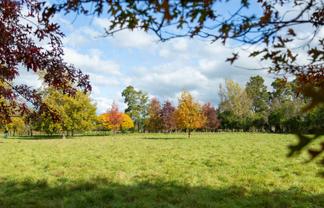 Lot 2, 30 Market Road, Greytown
