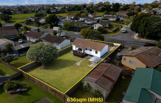 113 Finlayson Avenue, Clendon Park