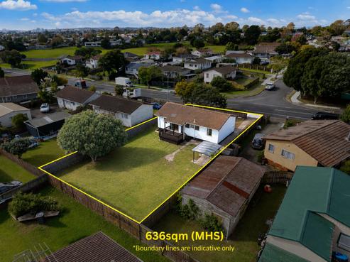 113 Finlayson Avenue, Clendon Park