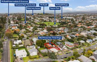 45A Princes Avenue, Three Kings